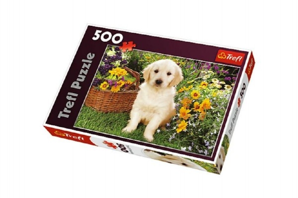 Puzzle Labrador v zahradě 500 dílků 48x34cm v krabici