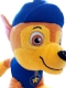 Obrázek (585809)